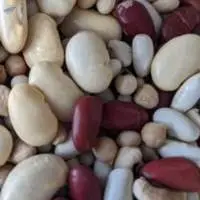 Pulses