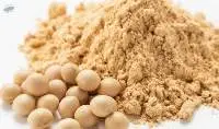 Soybean Meal