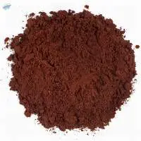 Organic Fairtrade Cocoa Powder Alkalized 10-12