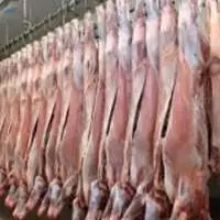 Frozen Mutton