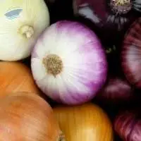 Onions