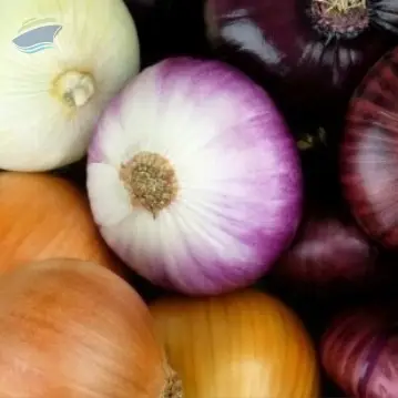 Onions