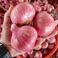 Red Onion