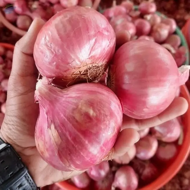Red Onion