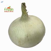 Onion