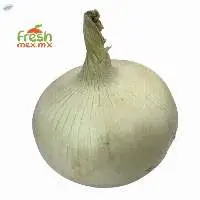 Onion