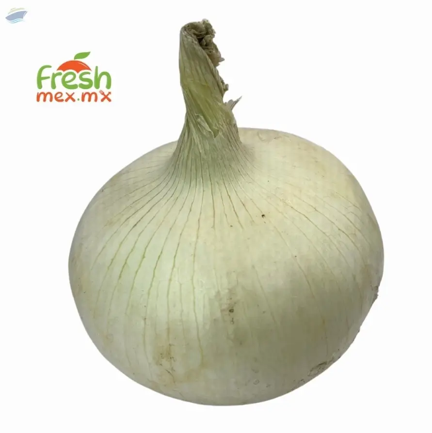 Onion
