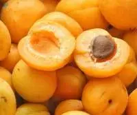 Apricot
