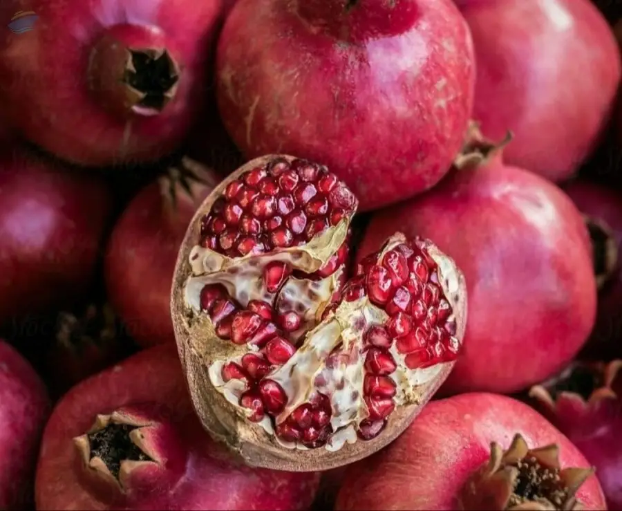 Pomegranate