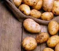 Potato