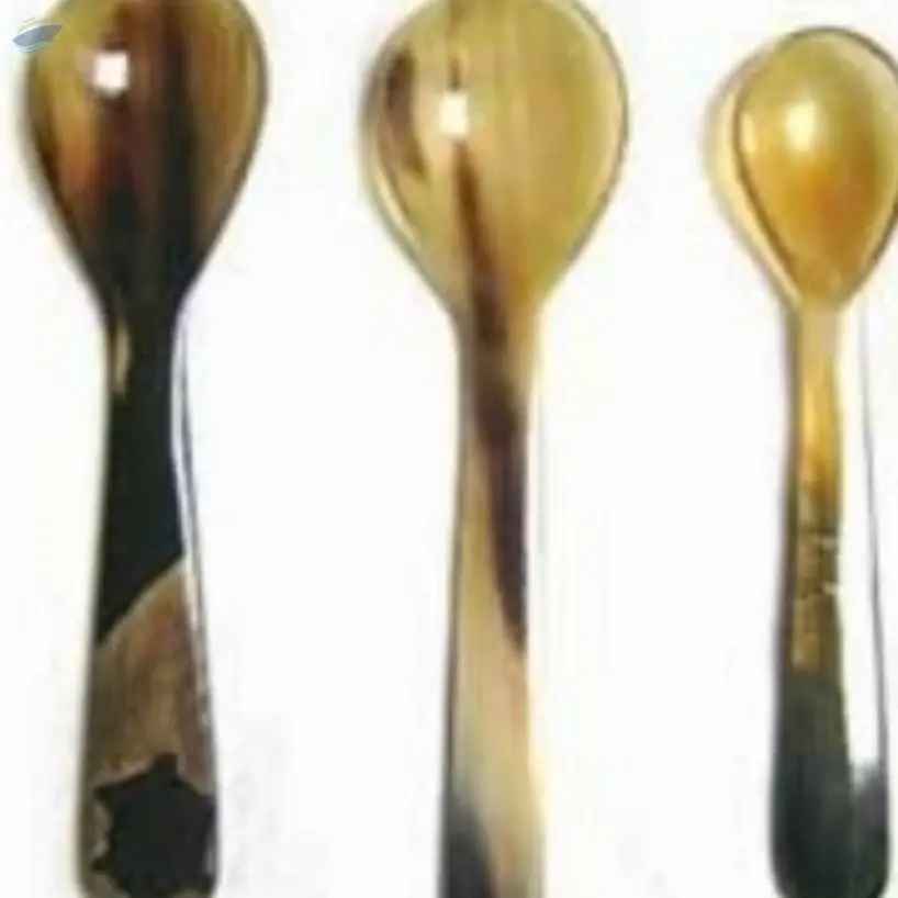 Horn Spoon Set