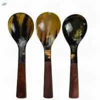 Horn Spoon Set