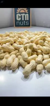 Peanut With Shell