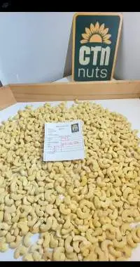 Cashew
