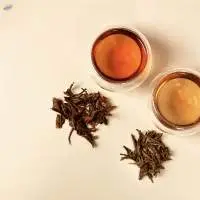 Oolong Tea
