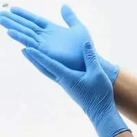Surgical Gloves