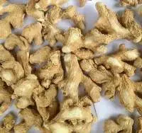 Dry Ginger