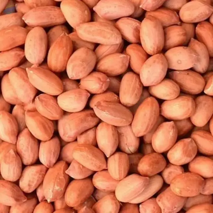 Groundnuts