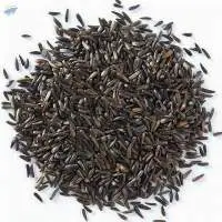 Indian Niger Seeds