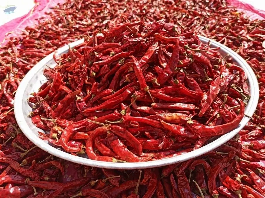 Whole Dried Chillies