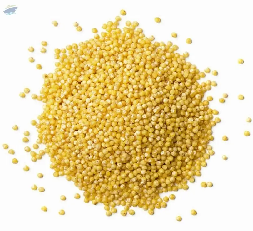 Yellow Millets