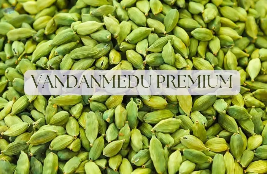 Cardamom