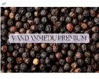 Black Pepper