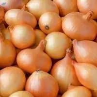 onion