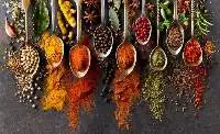 Exotic Indian Spices