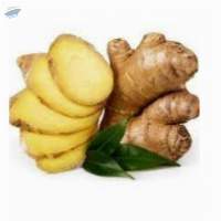Ginger