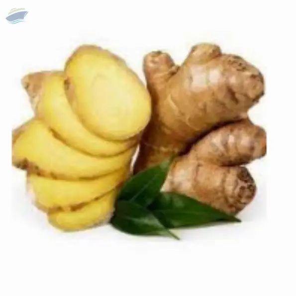 Ginger
