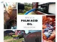 Palm Acid Oil