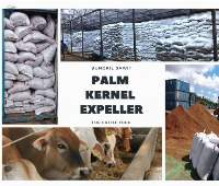 Palm Kernel Expeller