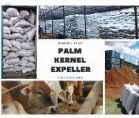 Palm Kernel Expeller
