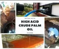 High Acid Crude Palm Oil