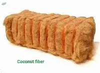 Coconut Fiber
