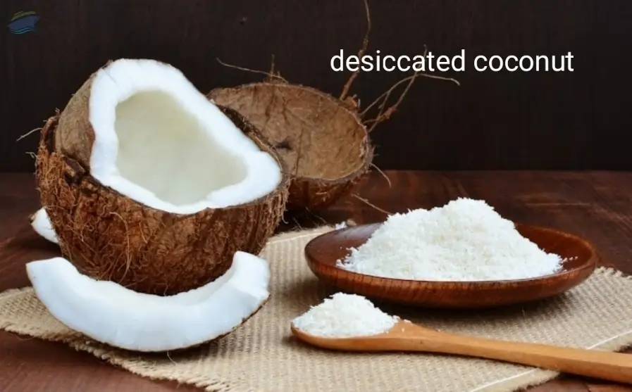 Desiccated Coconut by PT. Coco Inayo Abadi. Supplier from Indonesia