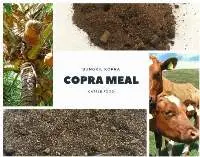 Copra Meal