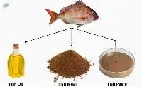 Fish meals