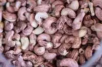 cashew nut