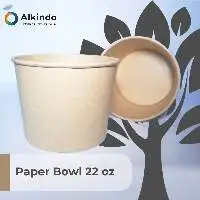 Paper Bowl