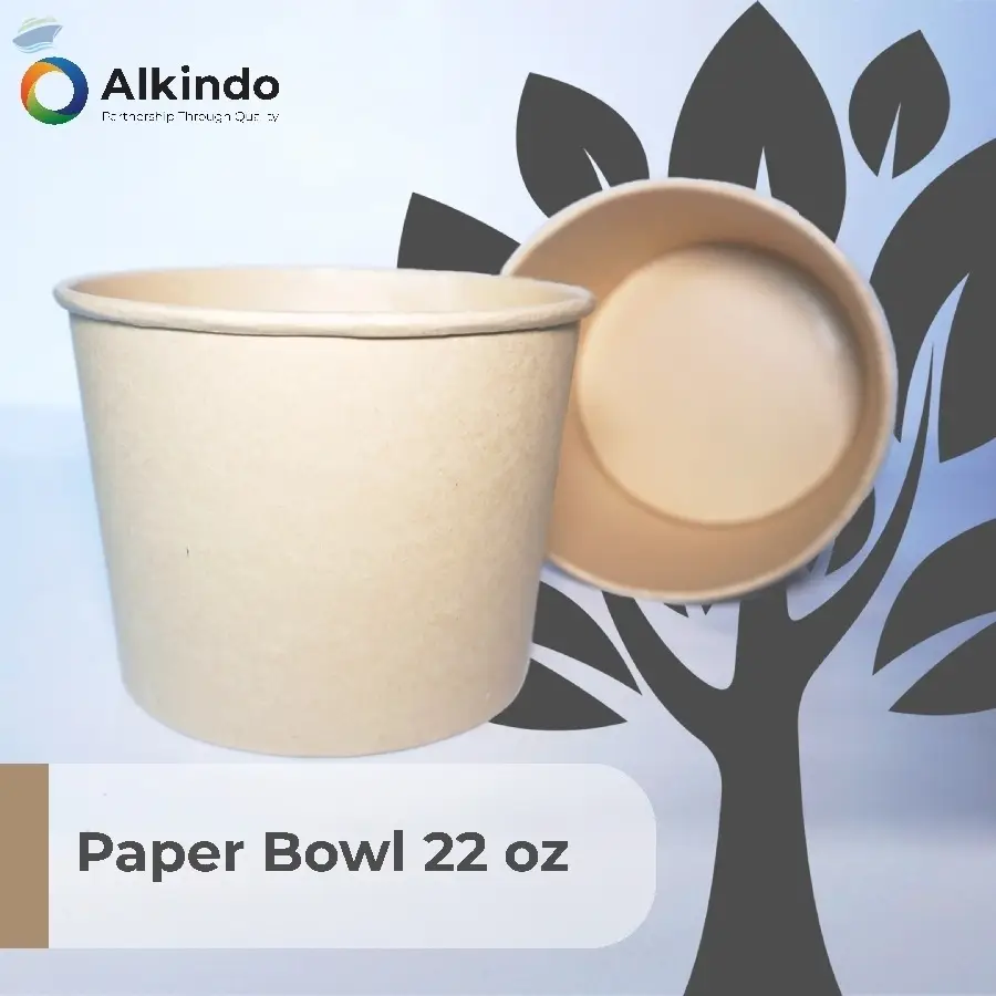 Paper Bowl