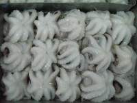 Frozen Octopus Flower Type