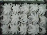 Frozen Octopus Flower Type