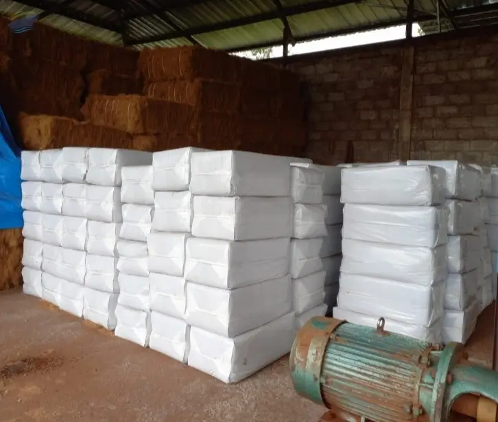 Coco Peat Polybag - Low EC