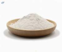 Konjac Powder / Konjac Flour