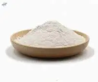 Konjac Powder / Konjac Flour