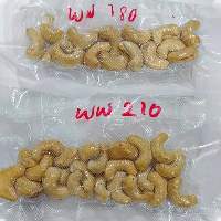 Natural Unroasted Large Size Cashew WW180/WW210