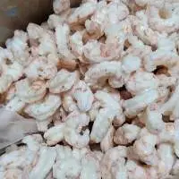 Patagonian Red Shrimp / Illex Squid