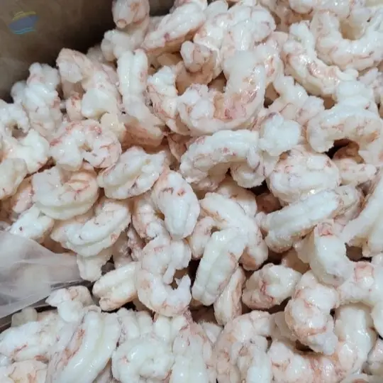 Patagonian Red Shrimp / Illex Squid